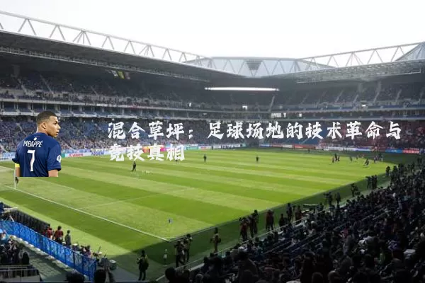 混合草坪：足球场地的技术革命与竞技真相